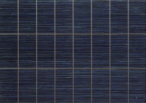 FORMA NEGRO PRECORTE_5 31,6x44,7
