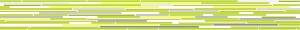 FORMA VERDE_LIMoN LISTELA 4,5x44,7